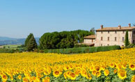 Аренда ферм, сельских домов, вилл в Италии и Франции